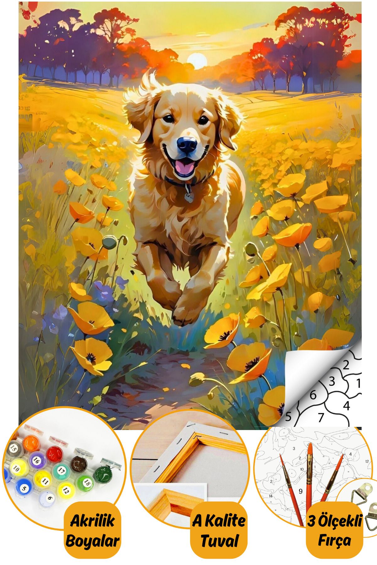 Sayılarla Boyama Numaralı Tuval Seti Fırça Boya Dahil 40x50cm Tatlı Köpek TL033