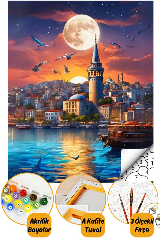 Sayılarla Boyama Numaralı Tuval Seti Fırça Boya Dahil 40x50cm - Galata ve Kuşlar